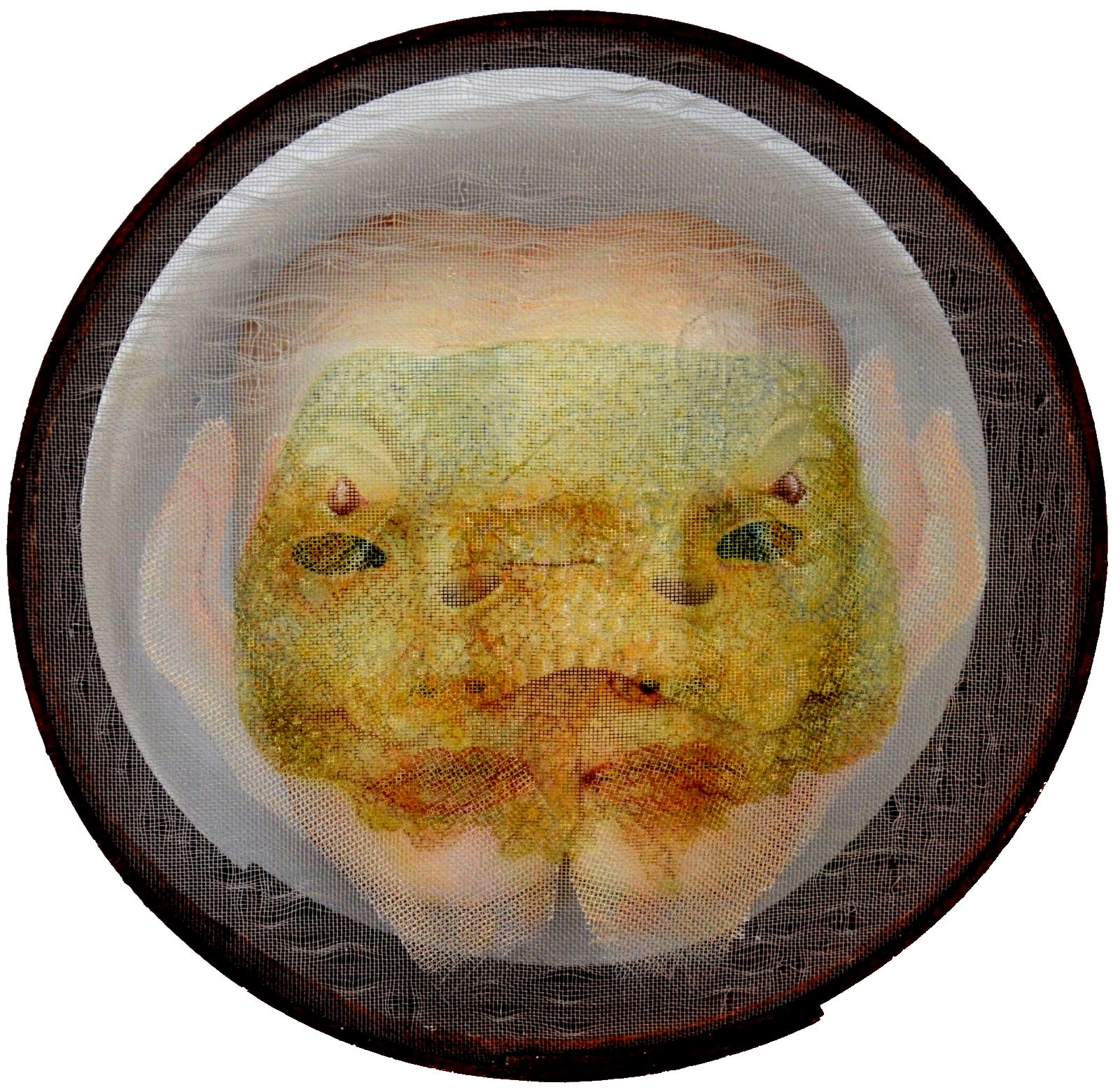 Dilerim Ömrün Uzun Olsun Serisi(2)Komodo Ejderi-29,5x29,5x9 cm- 2023