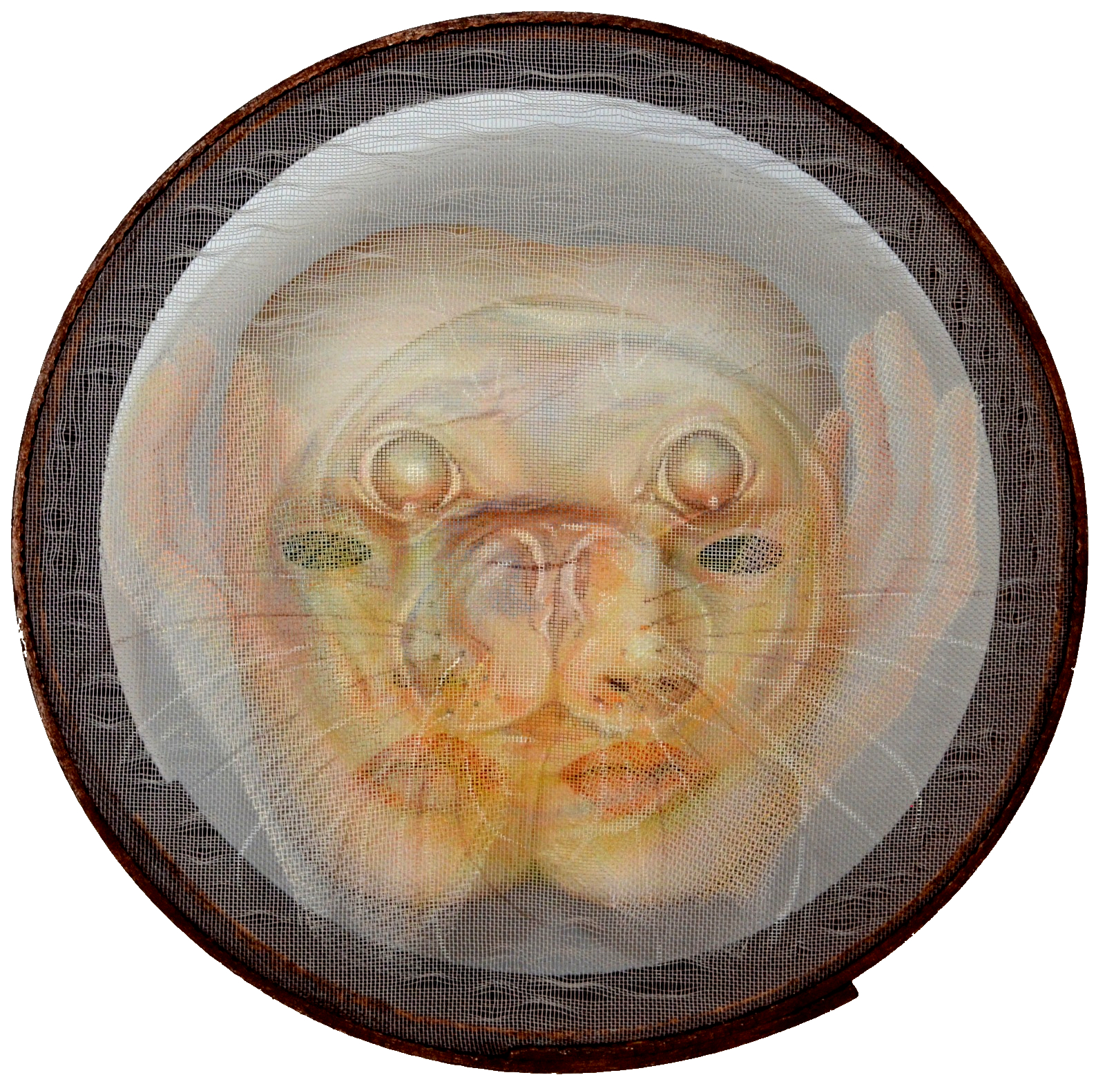 Dilerim Ömrün Uzun Olsun Serisi(3)Fok-29,5x29,5x9 cm- 2023