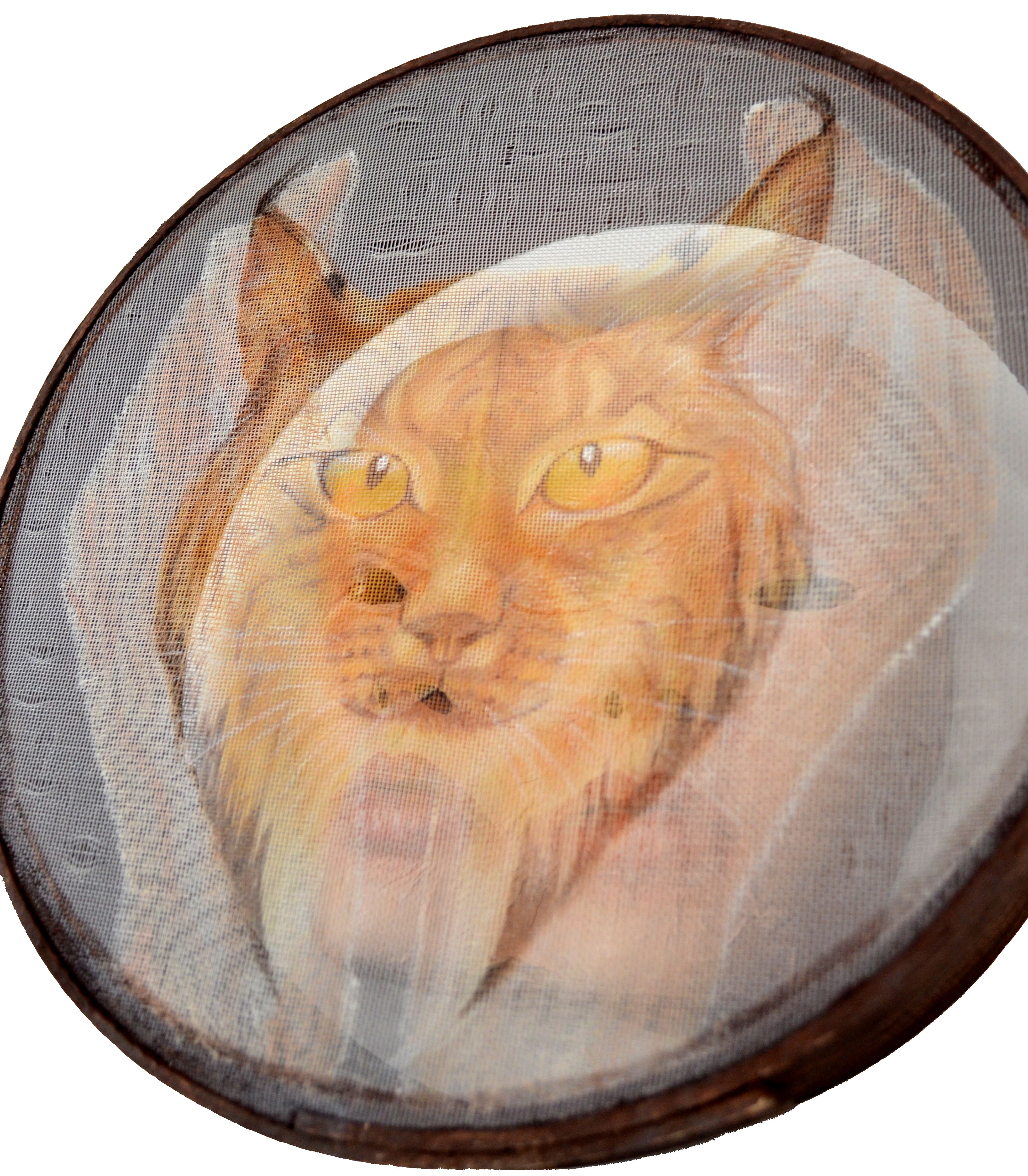 Dilerim Ömrün Uzun Olsun Serisi(4)Vaşak-29,5x29,5x9 cm- 2024-min